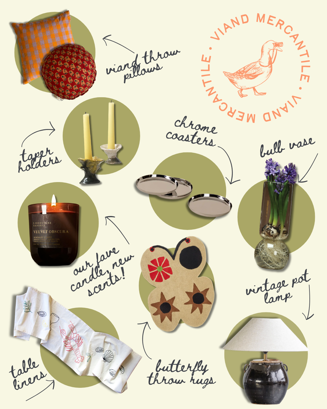 Jenn's January Picks