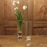 Tall Bulb Vase