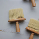 Small Wood Handled Cleaning Brush