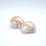 Seashell Napkin Rings, Set of 4