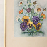 Vintage Watercolor, Pansies & Daisies signed A. Heizler