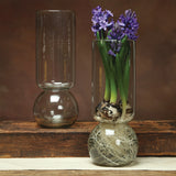 Extra Tall Bulb Vase