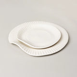 Porcelain Paper Plate
