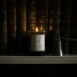 Winter Berry & Cypress, Luxury Soy Candle
