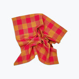 Big Gingham Napkin Set
