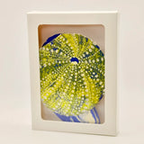Beach Treasures Stationery Set | Set of 6