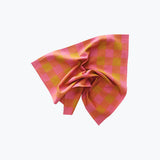 Big Gingham Napkin Set