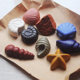 Natural Beeswax Seashell Crayons