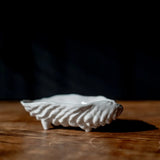 Ceramic Oyster Shell Tray