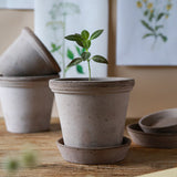 Flora Raw Set, Grey