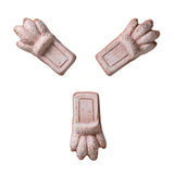 Lion Paw Raw