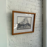 Vintage Original Seagull Pencil Sketch, Signed