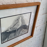 Vintage Original Seagull Pencil Sketch, Signed