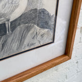 Vintage Original Seagull Pencil Sketch, Signed
