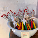 Extendable Campfire Forks, Set of 6