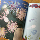 At the Seashore: My Nature Sticker Activity Book
