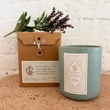 Limited Edition Violet & Moss, Luxury Soy Candle