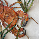 2nd Edition Cardboard Creations, Lobsters