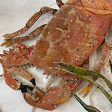 2nd Edition Cardboard Creations, Lobsters