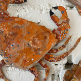 2nd Edition Cardboard Creations, Crabs