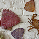 2nd Edition Cardboard Creations, Shells Oysters & Mussels