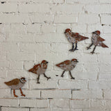 2nd Edition Cardboard Creations, Plovers