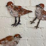 2nd Edition Cardboard Creations, Plovers