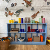 Vintage Blue Low Shelving Unit
