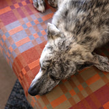 Fido Dog Blanket