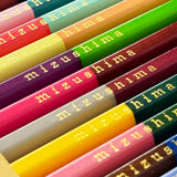 2-Color Pencil Set