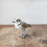 Mini Plover