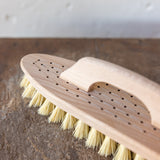 Scrubbing Brush w/ Handle