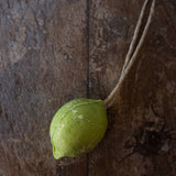 Lime Soap on a Rope