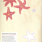 At the Seashore: My Nature Sticker Activity Book