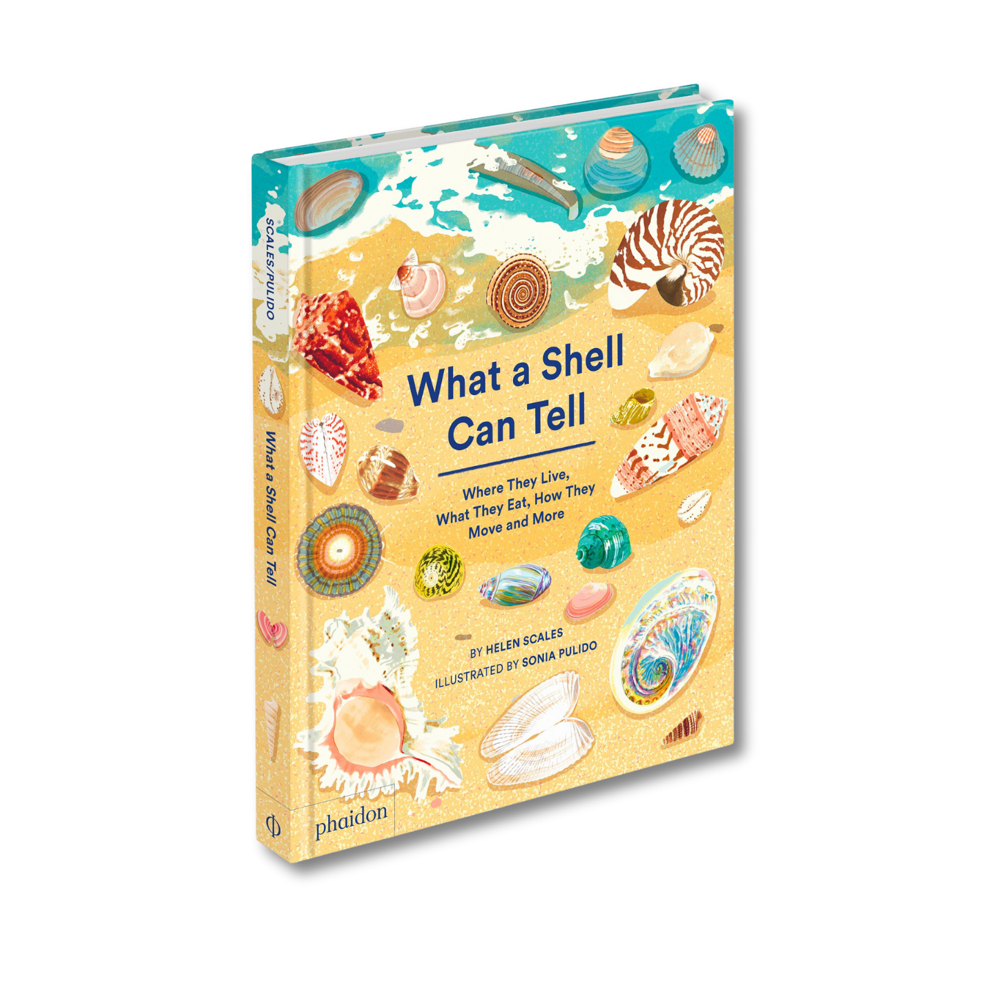 What a Shell Can Tell: Where They Live, What They Eat, How They Move a ...