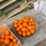 Estudio Vernís Ensaladera Serving Bowl