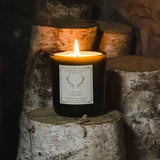 Festal Forest, Luxury Soy Candle