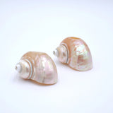 Seashell Napkin Rings, Set of 4