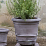 Lion Head Pot Feet, Raw